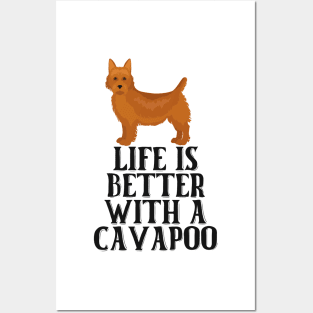 Life is Better With A Cavapoo Posters and Art